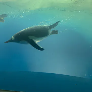 名古屋港水族館に投稿された画像（2026/8/9）