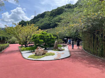土肥金山に投稿された画像（2026/8/9）