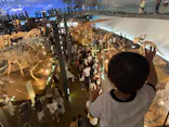 福井県立恐竜博物館に投稿された画像（2026/8/9）