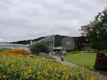 やまぐちフラワーランドに投稿された画像（2026/8/9）