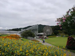 やまぐちフラワーランドに投稿された画像（2026/8/9）