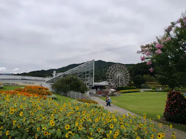 やまぐちフラワーランドに投稿された画像（2026/8/9）