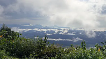 白馬五竜高山植物園に投稿された画像（2026/8/9）
