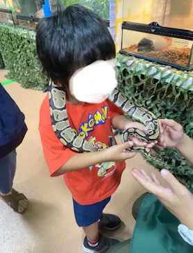 いきもの探検隊上尾に投稿された画像（2026/8/9）