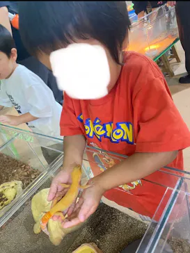 いきもの探検隊上尾に投稿された画像（2026/8/9）