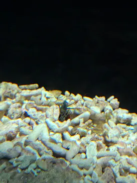 名古屋港水族館に投稿された画像（2026/8/9）