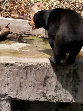 天王寺動物園に投稿された画像（2026/8/9）