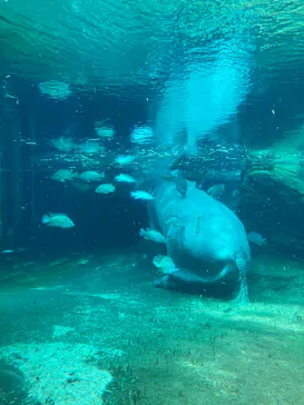 天王寺動物園に投稿された画像（2026/8/9）