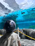 天王寺動物園に投稿された画像（2026/8/9）