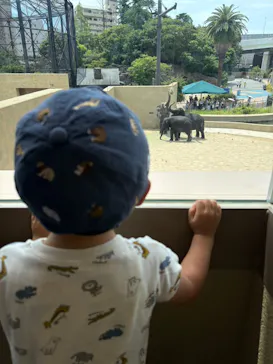 天王寺動物園に投稿された画像（2026/8/9）