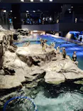 すみだ水族館に投稿された画像（2026/8/9）