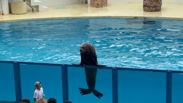 伊豆・三津シーパラダイスに投稿された画像（2026/8/9）