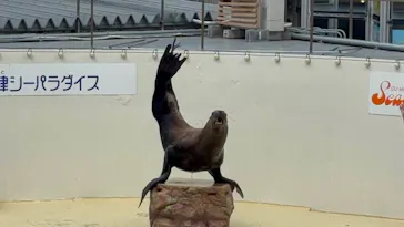 伊豆・三津シーパラダイスに投稿された画像（2026/8/9）