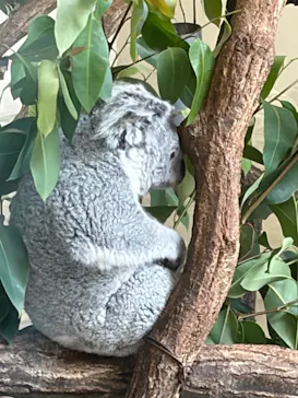 多摩動物公園に投稿された画像（2026/8/9）