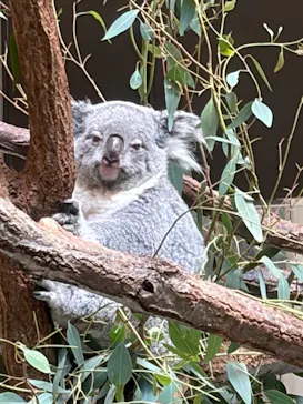 多摩動物公園に投稿された画像（2026/8/9）