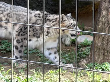 多摩動物公園に投稿された画像（2026/8/9）