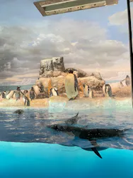 名古屋港水族館に投稿された画像（2026/8/9）