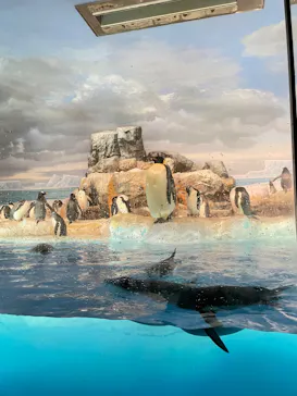 名古屋港水族館に投稿された画像（2026/8/9）
