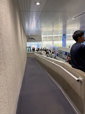 葛西臨海水族園に投稿された画像（2026/8/9）