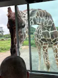 岩手サファリパークに投稿された画像（2026/8/9）