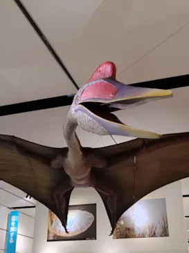 とぶ　空を旅する生きものたちの大冒険 (北九州市立自然史・歴史博物館（いのちのたび博物館))に投稿された画像（2026/8/9）