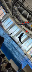 アクアワールド茨城県大洗水族館に投稿された画像（2026/8/9）