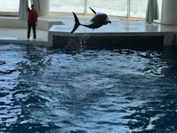 アクアワールド茨城県大洗水族館に投稿された画像（2026/8/9）