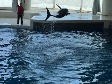 アクアワールド茨城県大洗水族館に投稿された画像（2026/8/9）