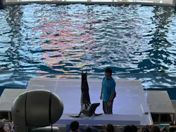 アクアワールド茨城県大洗水族館に投稿された画像（2026/8/9）