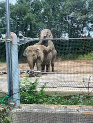 群馬サファリパークに投稿された画像（2026/8/9）