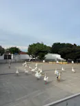 東武動物公園に投稿された画像（2026/8/9）