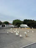 東武動物公園に投稿された画像（2026/8/9）