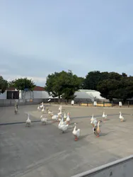 東武動物公園に投稿された画像（2026/8/9）