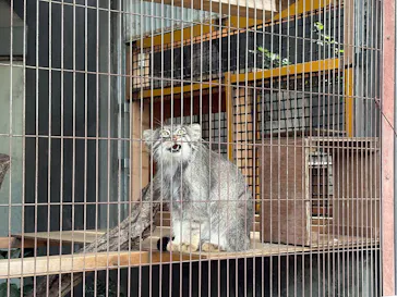 名古屋市東山動植物園に投稿された画像（2026/8/9）