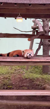 千葉市動物公園に投稿された画像（2026/8/9）
