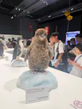 大南極展に投稿された画像（2026/8/9）