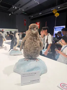 大南極展に投稿された画像（2026/8/9）