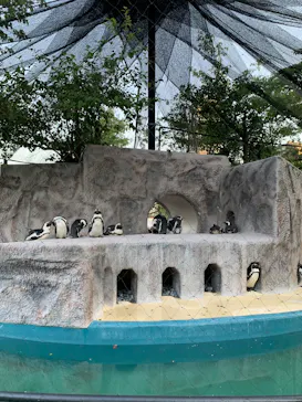 恩賜上野動物園に投稿された画像（2026/8/9）