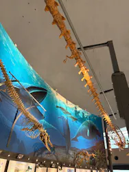 福井県立恐竜博物館に投稿された画像（2026/8/9）