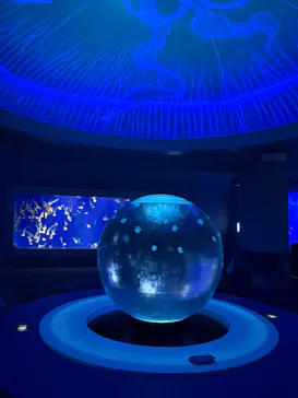新江ノ島水族館に投稿された画像（2026/8/9）