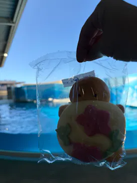 新江ノ島水族館に投稿された画像（2026/8/9）