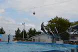 のとじま水族館に投稿された画像（2026/8/9）