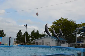 のとじま水族館に投稿された画像（2026/8/9）