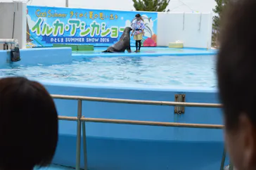 のとじま水族館に投稿された画像（2026/8/9）