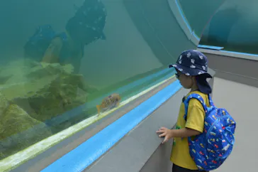 のとじま水族館に投稿された画像（2026/8/9）