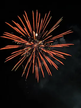 マザー牧場に投稿された画像（2026/8/9）
