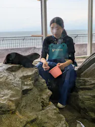 新江ノ島水族館に投稿された画像（2026/8/9）