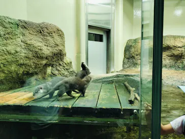 仙台うみの杜水族館に投稿された画像（2026/8/9）