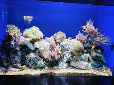 仙台うみの杜水族館に投稿された画像（2026/8/9）