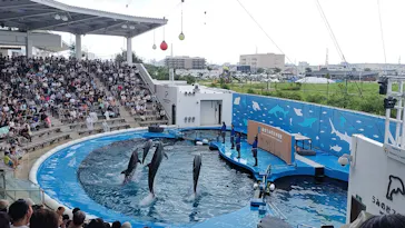 仙台うみの杜水族館に投稿された画像（2026/8/9）